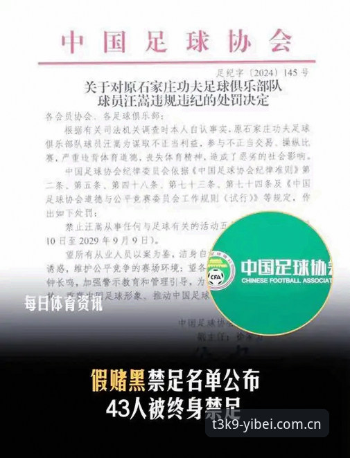 中国足球禁足风波深度解析：如何在易贝体育官网追踪赛事与行业动态的完整指南